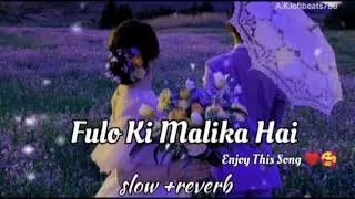 Fulo Ki Malika Hai🔥(slowed X reverb) AtifAslam Ali Cover New Song Aane Se Uske Aaye Bahar Lofi Mix