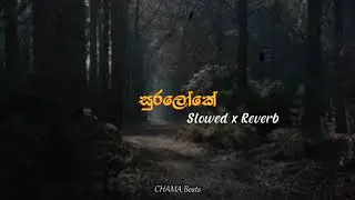 MR VIDU - Sura Loke (සුරලෝකේ) | Slowed x Reverb |@CHAMABeats
