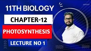11th Biology | Chapter 12 | Photosynthesis | Lecture 1 | Maharashtra Board | JR Tutorials |