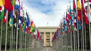 International Organizations, Law and Diplomacy - Program Highlight