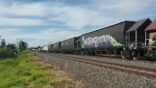 SSR Grain Train