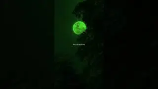 DJ Snake, Justin Bieber - Let Me Love You (Lyrics) | Say go through the darkest of days | Aesthetic