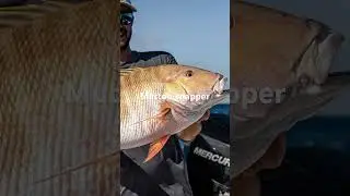 Bucket list fish part 2 saltwater #fypシ゚viralシ_ #bassfishing #fishing #fish #saltwater