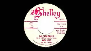 Andy Rose And The Thorns - Gal From Galilee (Shelley)