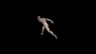 Ninja Run