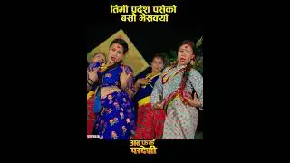 Timi Pardesh Paseko Barsau Bhaisakyo #shorts