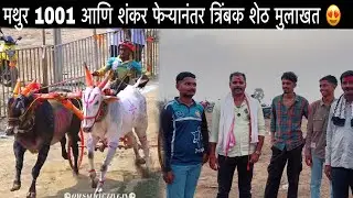 मथुर 1001 आणि तिसगावचा शंकर फेऱ्यानंतर त्रिंबक शेठ मुलाखत 😍