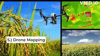Laab, Oberez, Daet Successful Agribuiseness  Innovative Products