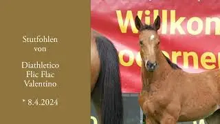 Diathletico FlickFlack   HD 1080p