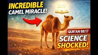 Do They Not Look at the Camel? 🐪 | A Stunning Qur&rsquo;anic Miracle #quran