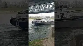 Cargo Ship travel under Rheinbridge Rhine River #germany #rhein #europe #cargo #cargoship