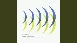 Shadowy Whispers (Robin Thurston Remix)