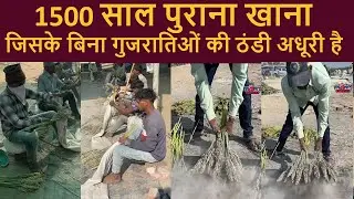 surat winter special ponk full making process | best of surat food | moms kitchen