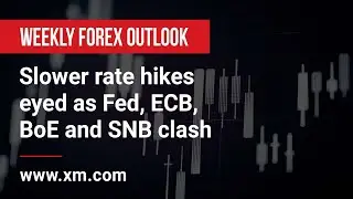 Weekly Forex Outlook: 09/12/2022 - Slower rate hikes eyed as Fed, ECB, BoE and SNB clash