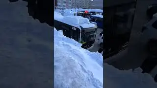 ЗИМА НА КАМЧАТКЕ | TikTok: oksana231188