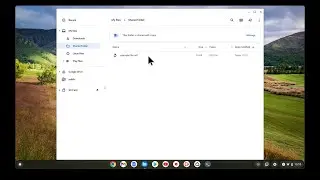 ChromeOS | Linux Development Environment | Create a shared folder for Linux and ChromeOS