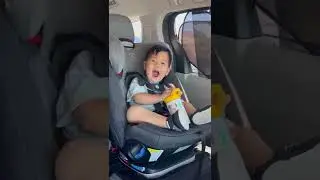 2 year old Army lip syncing Dynamite by BTS