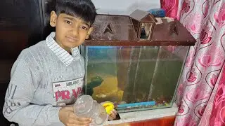 TURTLE KA FOOD KHTM HO GYA 🐢 😑