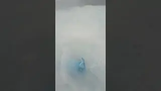 Whale in the hot tub