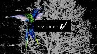 Forest V, Lahore Gymkhana | Hotel & Leisure Design | Interior by Design Partnership Australia