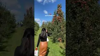apple picking date 🍎🍂 #fallvibes #autumn #applepicking