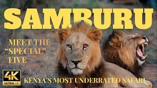 SAMBURU | The SAFARI of a LIFETIME | Meet the SPECIAL 5 animals