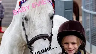 MY EQUESTRIAN STORY!!!