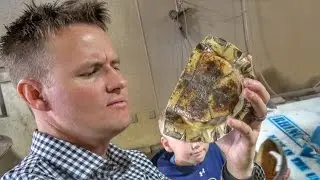 What's inside a Turtle Shell?