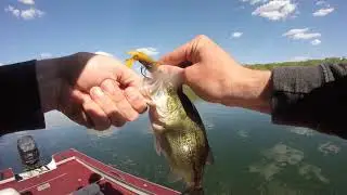 Flippin' Docks on Lake Macbride