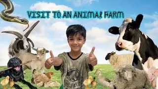 A Visit to an animal Farm