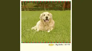 Happy Puppy