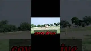 cover drive shots #shorts
