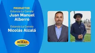 Juan Manuel Alberro - Nicol&aacute;s Alcal&aacute; - Ma&ntilde;ana a las 14 hs remate de reproductores braford -MV