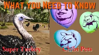 Ark Survival Evolved - Super Turkeys , Chibis : WHAT YOU NEED TO KNOW