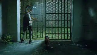 Prison Escape- Stray