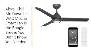 Alexa, Chill Me Down! &mdash; WAC Mocha Smart Fan Is the Bougie Breeze You Didn&rsquo;t Know You Needed