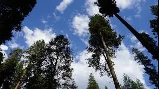 Wind and Clouds