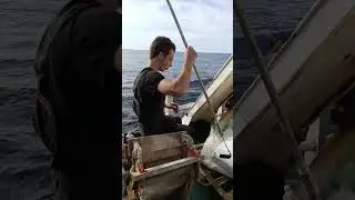 Life at Sea: Deck Work ⚓🔥