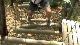 Parco Avventura Veglio - Ponte di tronchi
