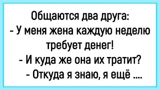 🤡Как Жена  У Мужа Деньги Требовала! Сборник Смешных Анекдотов! Юмор! Позитив!