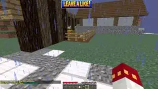 SimplicitySMP Grand Opening