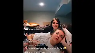 Pyper's Live