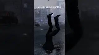 Sleeping Dogs. Bug 1 #shorts #sleepingdogs #gamefunny