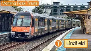 Transport for Sydney Vlog 914: Lindfield Part 5 - Morning Peak Trains