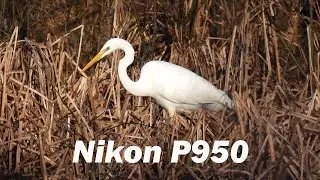Moor Green Lakes Area - Part 2 - Colebrook Lake