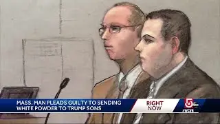 Man pleads guilty to sending white powder to Trump sons
