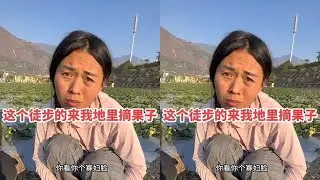 她们来我地里摘果子，山东大爷和河南徒步妹妹路过，聊了会儿天，非常不容易，自己做饭，节约，搭帐篷休息，送他们点果子，祝他们一路顺风，旅途愉快，好人一生平安