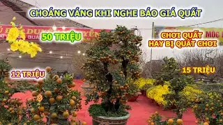 CHOÁNG VÁNG KHI NGHE GIÁ QUẤT CẦN THĂNG ĐỘC LẠ NHẤT CHỢ HOA XUÂN CỔ LINH LONG BIÊN