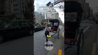 this job in Japan surprise tourists