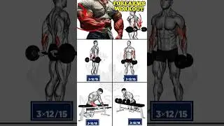 Big forearms workout #workout #musclebuilding #bodybuilding #bodybuilder #shorts